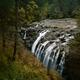 Autumn nature scenery of Englishman River Falls Provincial Park on Van... (thumbnail)