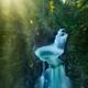 Glowing sunshine over beautiful cascade waterfall at Little Qualicum F... (thumbnail)