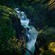 Little Qualicum Falls Provincial Park beautiful waterfall autumn natur... (thumbnail)