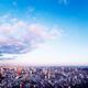Tokyo tower in beautiful aerial scenery Tokyo city under vast blue sky... (thumbnail)