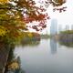 Osaka Chuo-ku financial distric high-rise towers on misty autumn morni... (thumbnail)