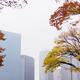 Osaka downtown modern architecture buildings view through colorful aut... (thumbnail)
