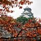 Autumn morning scenery of Osaka Castle through red autumn tree branche... (thumbnail)