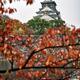 Osaka Castle and canal from behind red tree branches in autumn... (thumbnail)
