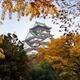 View of Osaka Castle through yellow autumn tree branches... (thumbnail)