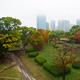 Osaka Castle Park in autumn colors on beautiful misty morning with Osa... (thumbnail)