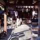 Kannushi priest at Yasui Konpiragu Shinto Shrine in Kyoto Japan... (thumbnail)