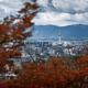 Kyoto tower under dramatic sky in aerial city scenery behind red autum... (thumbnail)