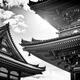 Black and white Architectural detail of Sanjunoto pagoda building at K... (thumbnail)