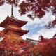 Sanjunoto pagoda of Kiyomizu-dera temple in Kyoto framed by red autumn... (thumbnail)