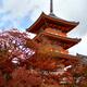 Sanjunoto pagoda Kiyomizu-dera Kyoto in fall... (thumbnail)