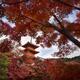 Sanjunoto pagoda of Kiyomizu-dera Buddhist temple in beautiful autumn... (thumbnail)