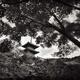 Sanjunoto pagoda of Kiyomizu-dera Buddhist temple in beautiful scenery... (thumbnail)