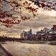 Pathway along Kamo River in a beautiful dramatic autumn sunset scenery... (thumbnail)