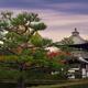 Beautiful pine trees in front of Tofukuji Temple bell tower in Kyoto... (thumbnail)