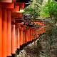 Row of Torii gates at Fushimi Inari shrine in Kyoto Japan... (thumbnail)