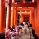 Tourists and women in kimono walking along a long Senbon torii path at... (thumbnail)