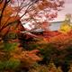 Colorful autumn scenery of a Japanese garden at Tofuku-ji temple in Ky... (thumbnail)