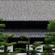 Japanese pines in front of Tofukuji temple building in Kyoto... (thumbnail)