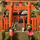 Foxes Kitsune at a small private Shinto shrine altar at Fushimi Inari... (thumbnail)