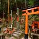 Thousands of small private Shinto shrines at Fushimi Inari Taisha in K... (thumbnail)