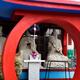 Kaeru Frog shrine in Kyoto Japan... (thumbnail)
