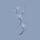 Elegant branch of magnolia flowers artistic design on faded blue backg... (thumbnail)
