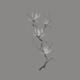 Branch of blooming magnolia flowers artistic Zen Sumi-e painting desig... (thumbnail)