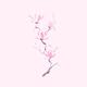 Elegant branch of purple magnolia flowers artistic design on pink back... (thumbnail)