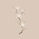 Branch of blooming magnolia flowers artistic Zen Sumi-e painting desig... (thumbnail)