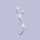 Elegant branch of white magnolia flowers artistic design on light viol... (thumbnail)