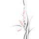 Elegant light coral red orchid flowers artistic floral design on white... (thumbnail)