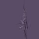 Elegant orchid flowers artistic intricate floral design on purple back... (thumbnail)