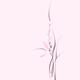 Elegant pink orchid flowers artistic floral design on light pink backg... (thumbnail)
