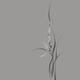 Artistic elegant orchid flowers floral design on light gray background... (thumbnail)