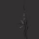 Beautiful orchid flowers artistic floral design on dark gray backgroun... (thumbnail)