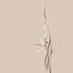 Intricate orchid flowers artistic floral design on beige background... (thumbnail)
