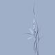 Flowers of orchids artistic floral design on blue background... (thumbnail)