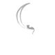 Black cat lying on the waning moon artistic illustration design gray o... (thumbnail)