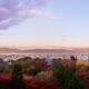 Sanjunoto Sanju-no-to pagoda Kiyomizu-dera in Kyoto beautiful panorami... (thumbnail)