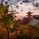 Sanjunoto pagoda behind colorful autumn tree leaves Kiyomizu-dera temp... (thumbnail)