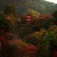 Beautiful autumn scenery of Koyasu pagoda of Kiyomizu-dera temple in K... (thumbnail)