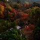 Kiyomizu-dera temple grounds Koyasu pagoda in beautiful autumn scenery... (thumbnail)