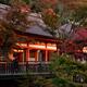 Amidado and Okunoin halls of Kiyomizu-dera temple in autumn Kyoto... (thumbnail)
