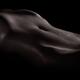 Artistic nude abstract black and white body parts of a sexy woman stom... (thumbnail)
