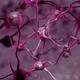 Biological Neural connections network Neurons Brain cells scientific i... (thumbnail)