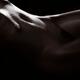 Abstract art nude black and white of a woman body sexy curves outlined... (thumbnail)