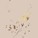 Golden Morning Glory flowers Sumi-e illustration artistic design on be... (thumbnail)