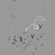 Morning Glory flowers Sumi-e illustration artistic design on light gra... (thumbnail)