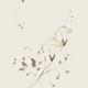 Morning Glory flowers Sumi-e illustration artistic design on light bei... (thumbnail)